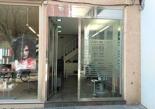 José Luis Gizonen Ileapaindegia – Donostia-San Sebastian