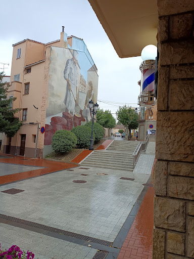Barberia sebbab en Ólvega