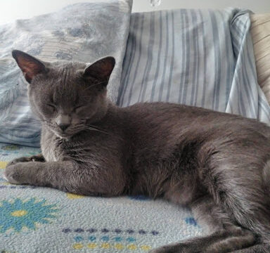 PINK STYLE – Ascó