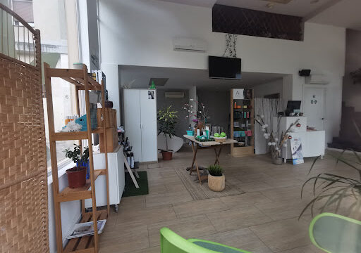 Peluqueria Elfie Chevalier – Barañáin