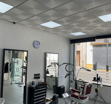 Esencia VW – Jaén