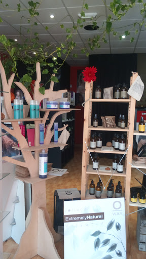 PELUQUERIA PELUK´S HAIRDRESSER ROBERTO en Moraleja