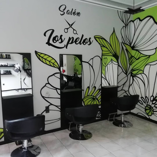 Salón Por Los Pelos en Miranda de Ebro