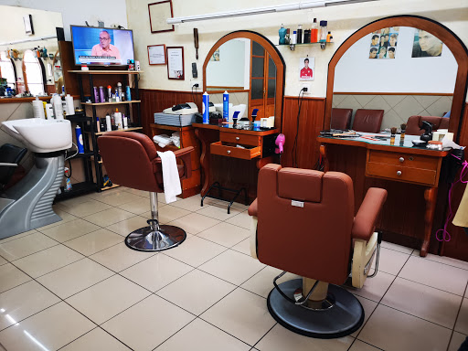 Francisco Carrasco de la Vega en Arenys de Mar