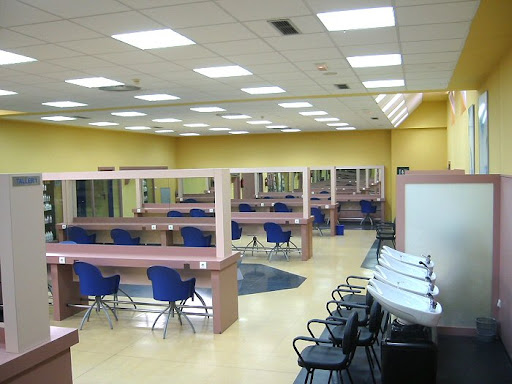 Academia de Peluquería y Estética 