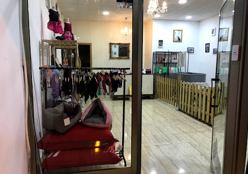 Perruqueria canina Dog Stars – Alfafar