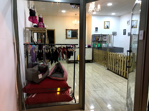 Perruqueria canina Dog Stars en Alfafar