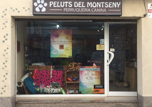 Peluts del Montseny – Santa Maria de Palautordera