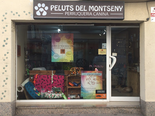 Peluts del Montseny en Santa Maria de Palautordera