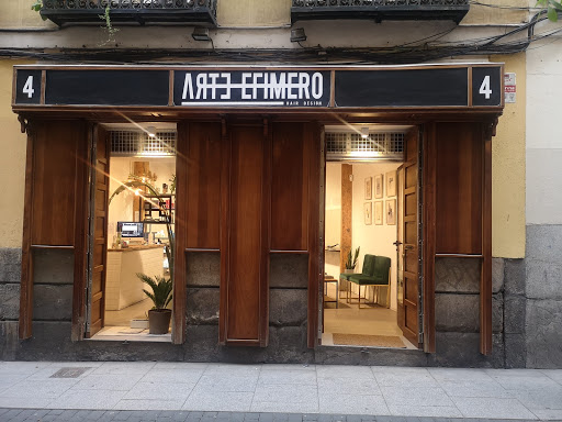 Arte Efímero Salón en Madrid