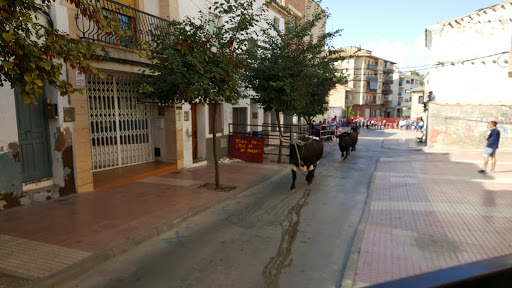 Ana María Torices Berges en Fuentes de Ebro
