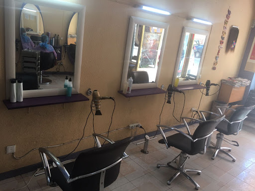 Peluqueria china (Rosa) en Algete