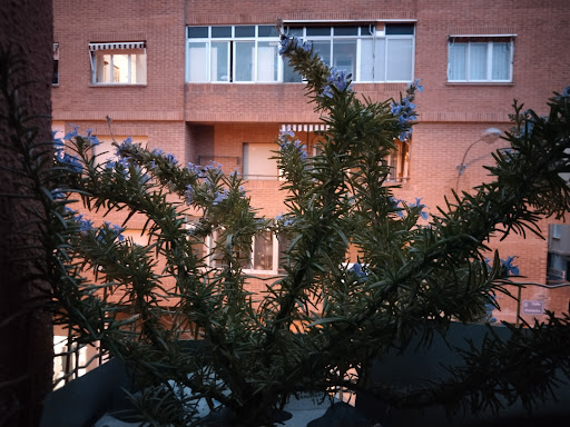 CENTRO DE PELUQUERÍA Y ESTÉTICA YOU & ME en Logroño