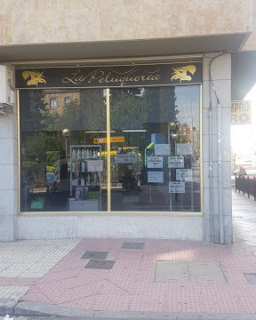 La Peluquería Unisex – Salamanca