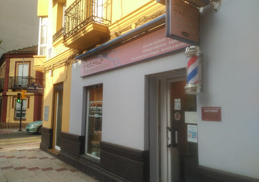 Barber Antonio – Málaga
