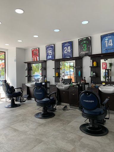 Estudio Barber Boadilla en Boadilla del Monte