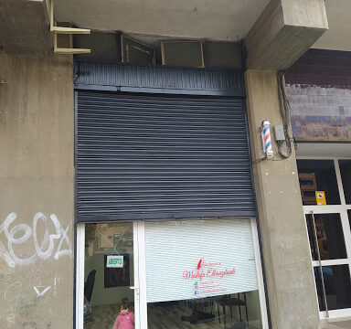 Barberia musta – Lleida