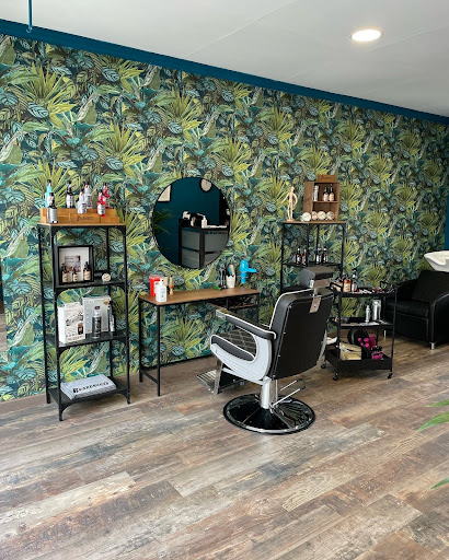 La Barberia 51 en Bembibre