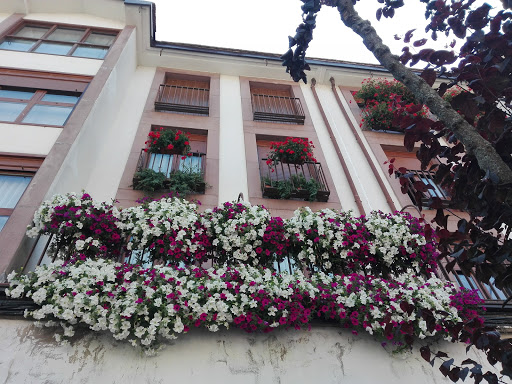 Rojo López María Luisa en Ezcaray