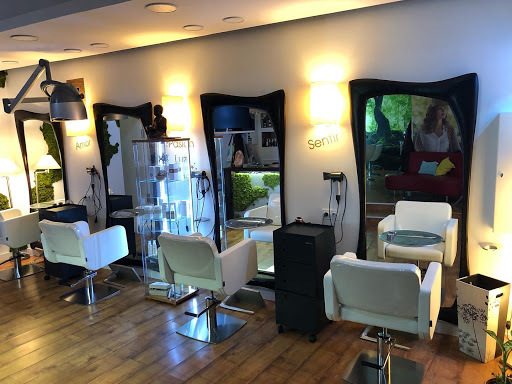 ANGELES RAMOS peluquerias en Quintanar de la Orden