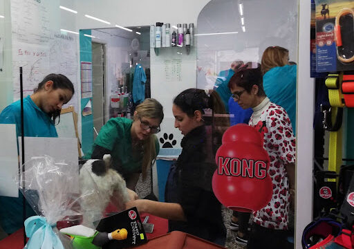 PELUQUERÍA CANINA INNOVACAN VALENCIA – Valencia