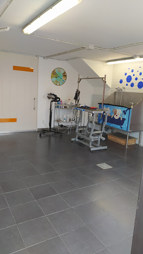 Peluqueria Canina Peludos en Ayegui