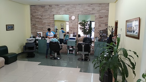 Peluqueria Miguel – Toledo
