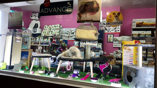 Cave Canem – Valencia
