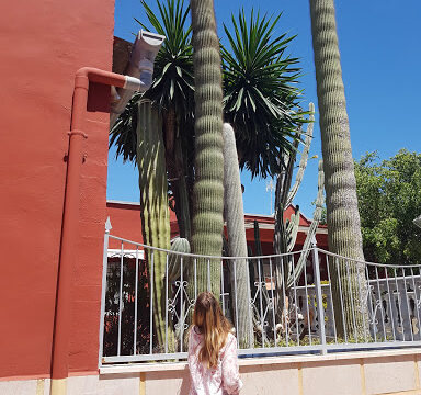 Salón Cultural – Daya Nueva