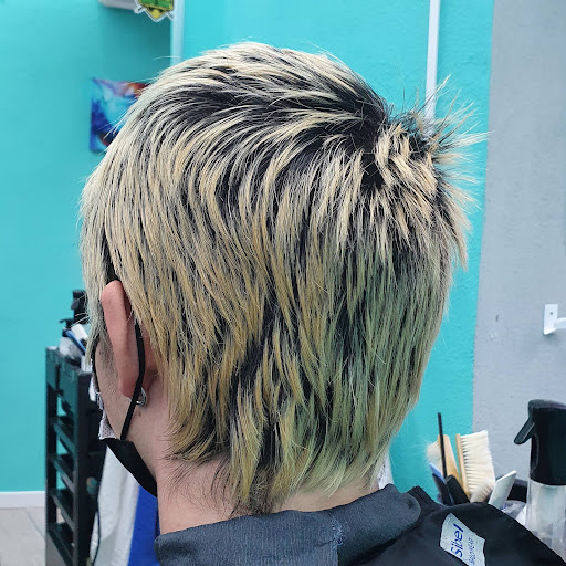 Barber norte en Buitrago del Lozoya