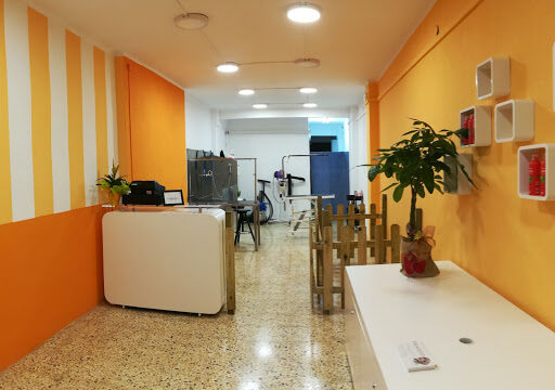 Dog & Family perruqueria canina – Abrera