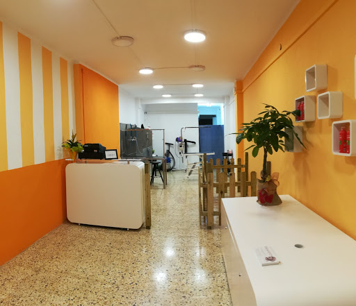 Dog & Family perruqueria canina en Abrera