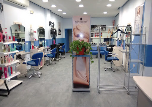 Peluquería Maite Llorente – Zaragoza