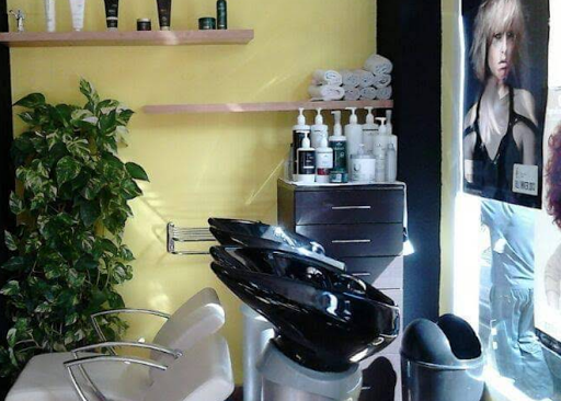 Higueras Peluqueros en Burjassot