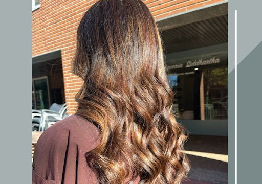 Salón Siddhartha Peluquería y Estética “Secretos del Agua» – Valladolid