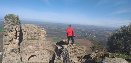 Peluquería Adrián Naranjo – Mérida