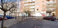 Salvias en Pamplona
